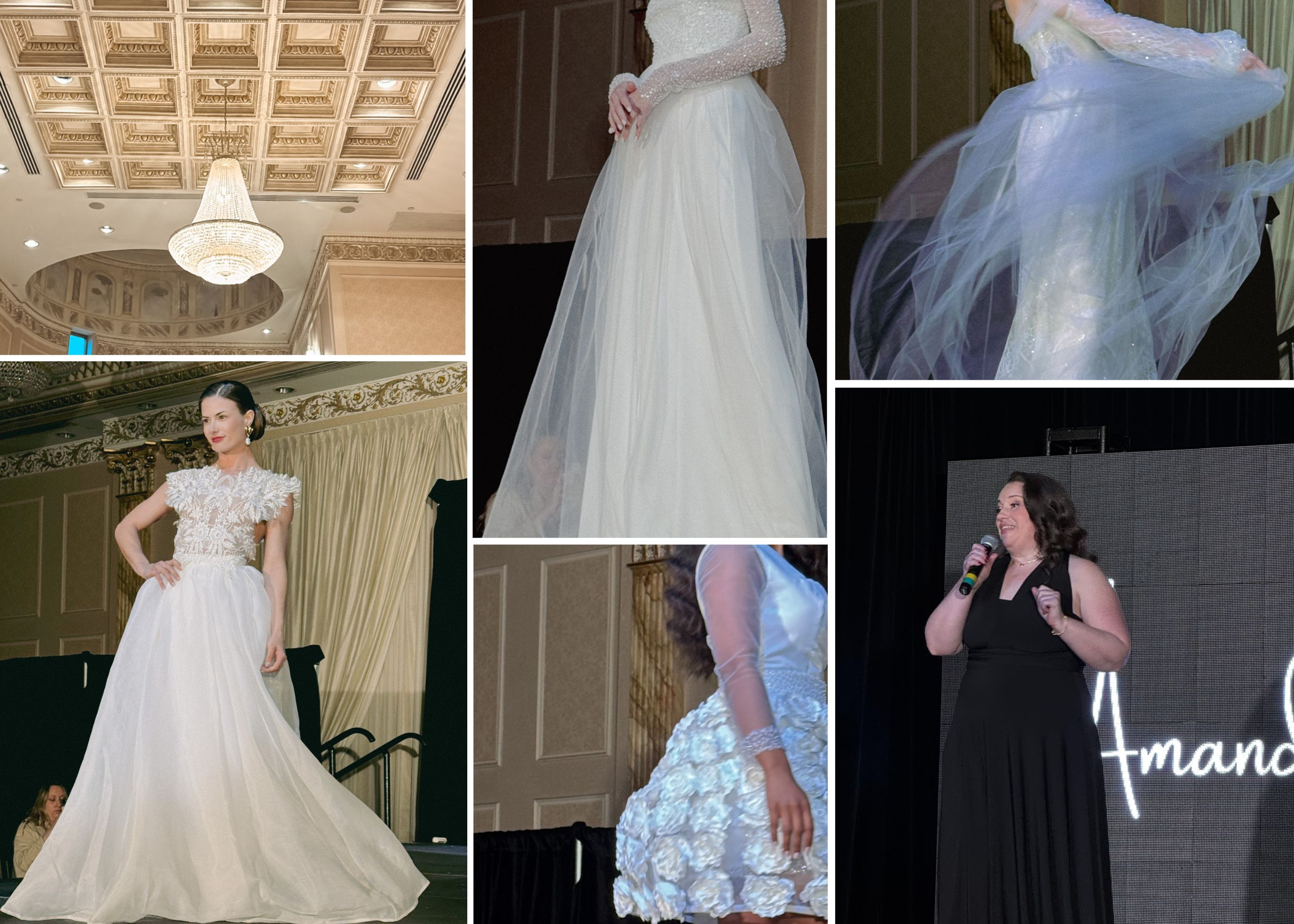 Experience the Elegance: Amanda Garrett’s Fashion&nbsp;Showcase