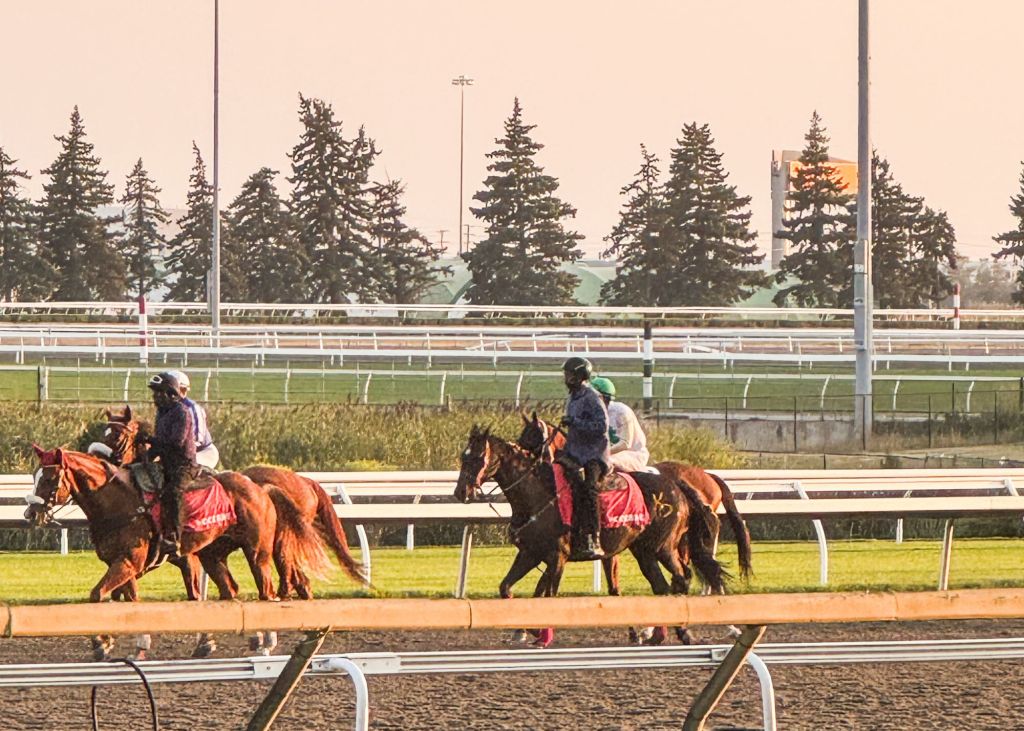 Image of a jockey on a horse